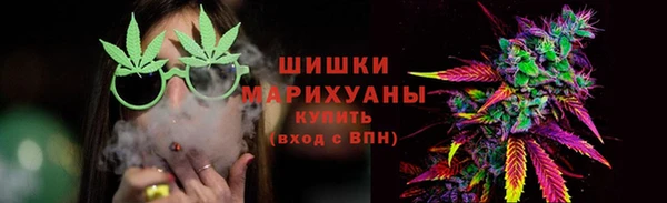 спиды Богородицк