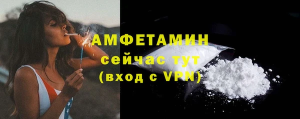 спиды Богородицк