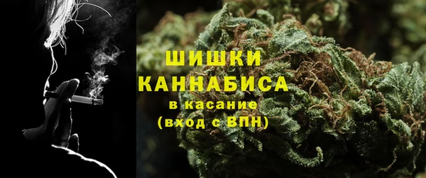 первитин Богданович
