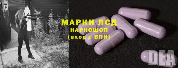 спиды Богородицк